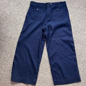 LOFT linen Navy Wide-Leg Pants 12p